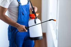 Best Fumigation Services  in Kensington, CA